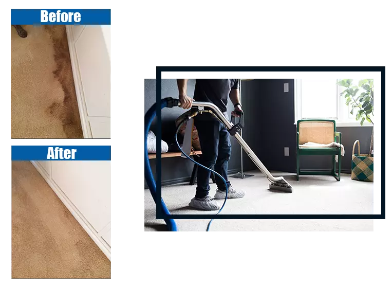 Carprt Cleaner Friendswood - Before and After